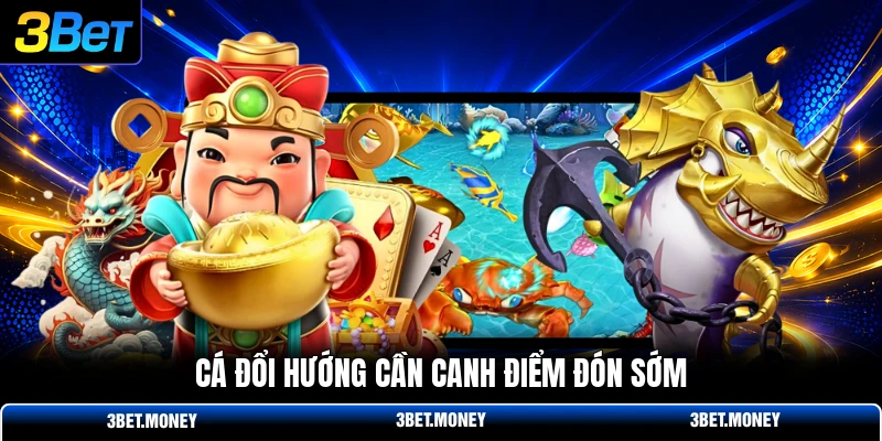 Cá đổi hướng cần canh điểm đón sớm