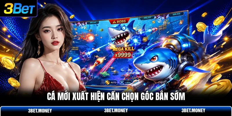 Cá mới xuất hiện cần chọn góc bắn sớm
