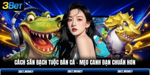 Cách săn bạch tuộc bắn cá
