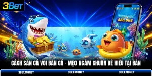 Cách săn cá voi bắn cá