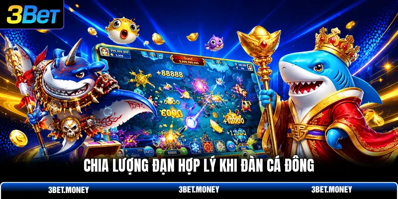 Chia lượng đạn hợp lý khi đàn cá đông
