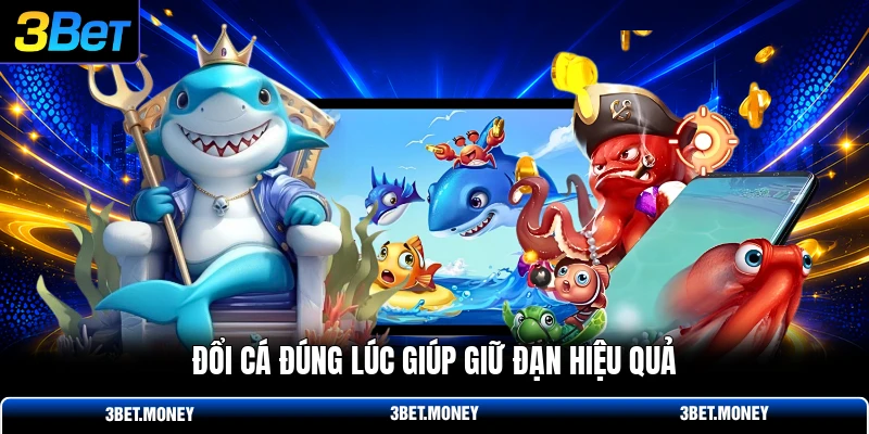 Đổi cá đúng lúc giúp giữ đạn hiệu quả