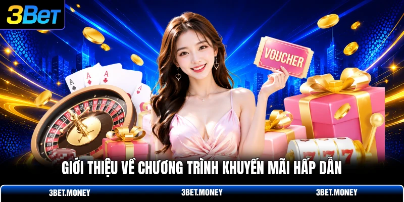 Giới thiệu về chương trình khuyến mãi hấp dẫn