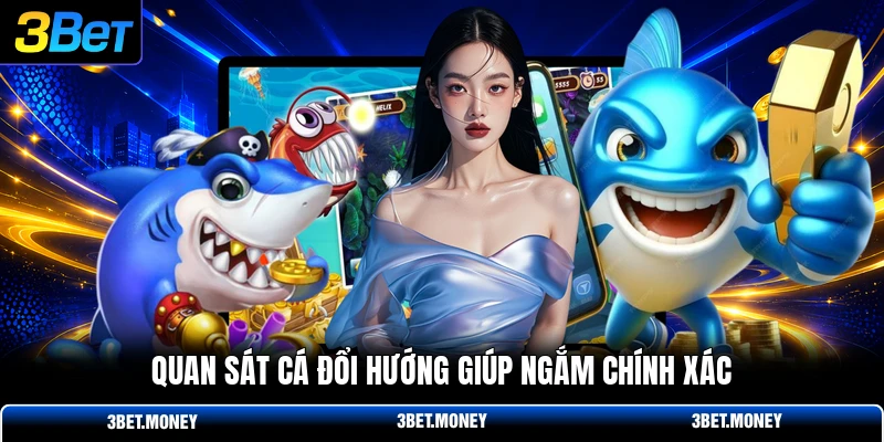 Quan sát cá đổi hướng giúp ngắm chính xác