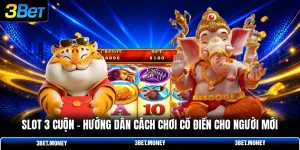 Slot 3 cuộn