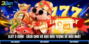 Slot 5 cuộn