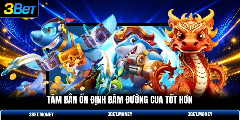 Tâm bắn ổn định bám đường cua tốt hơn
